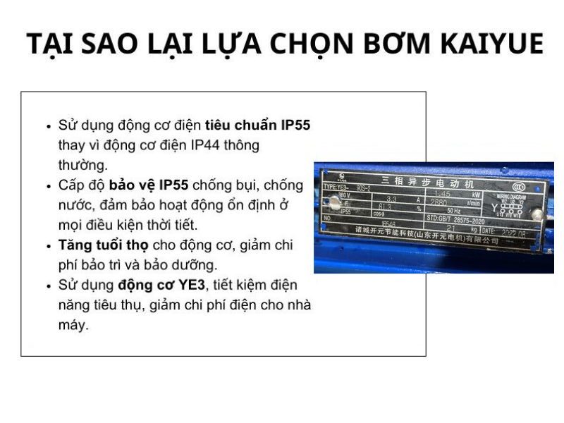 Combo máy bơm chân không vòng nước 1.4kw